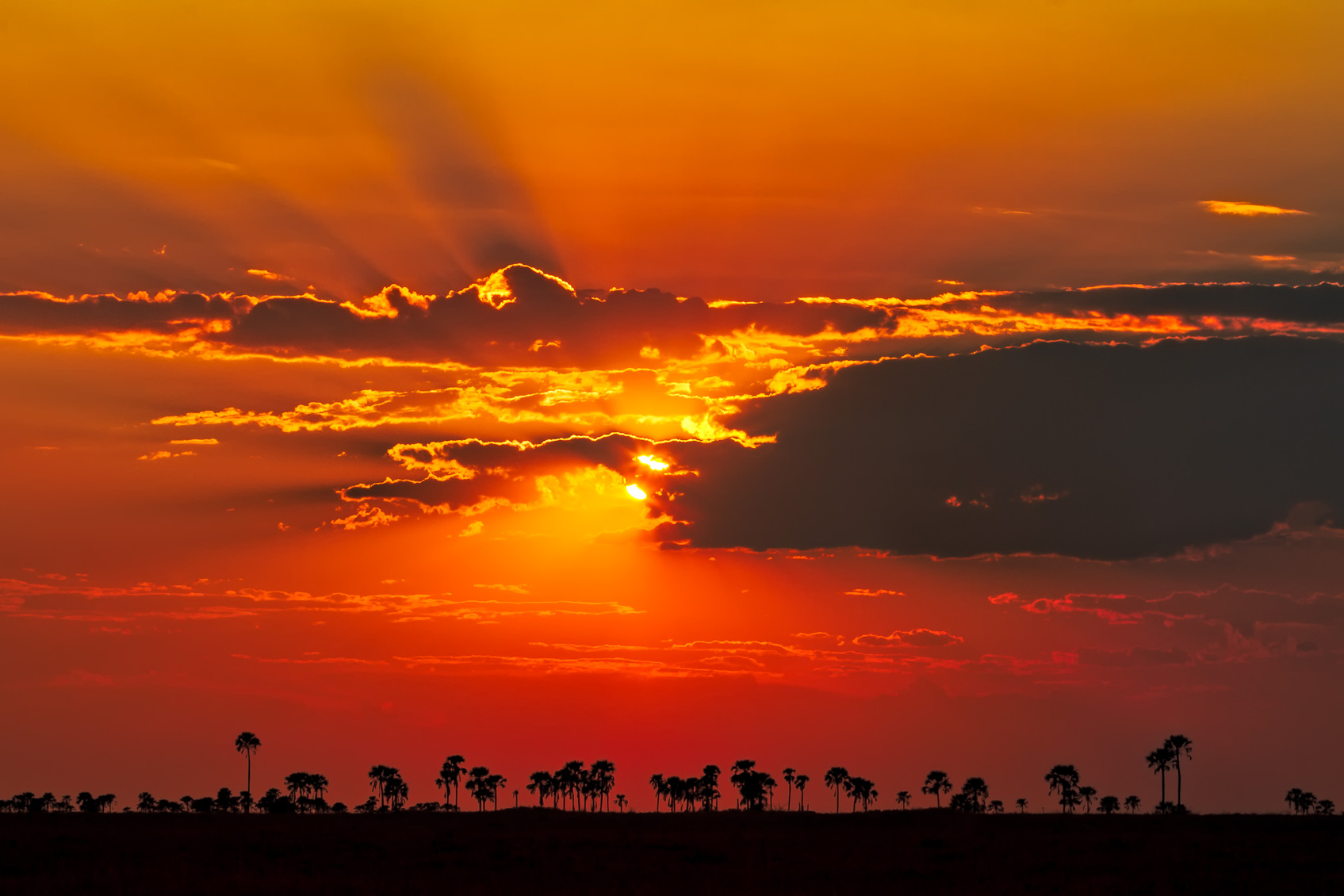 Storm clouds over the Makgadikgadi Pans
