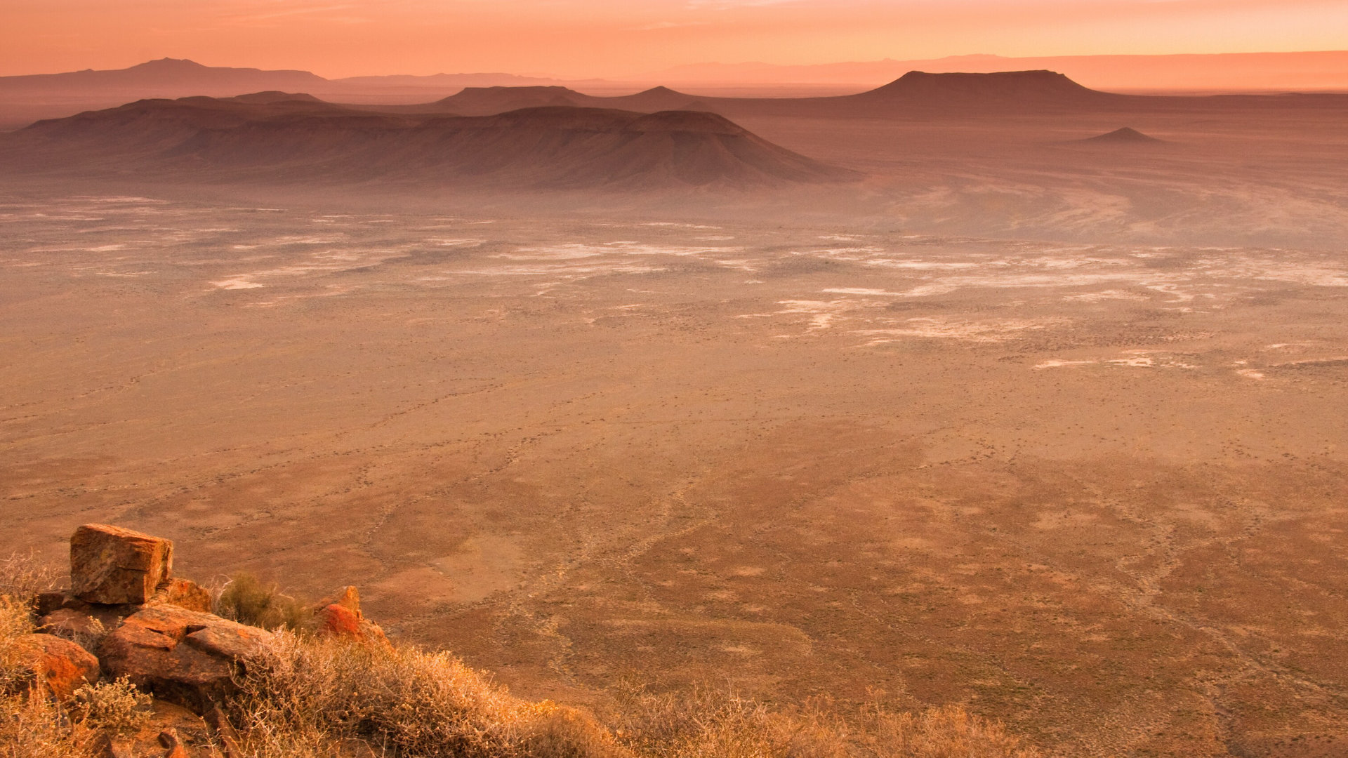 Vast peach-toned Karoo at first light