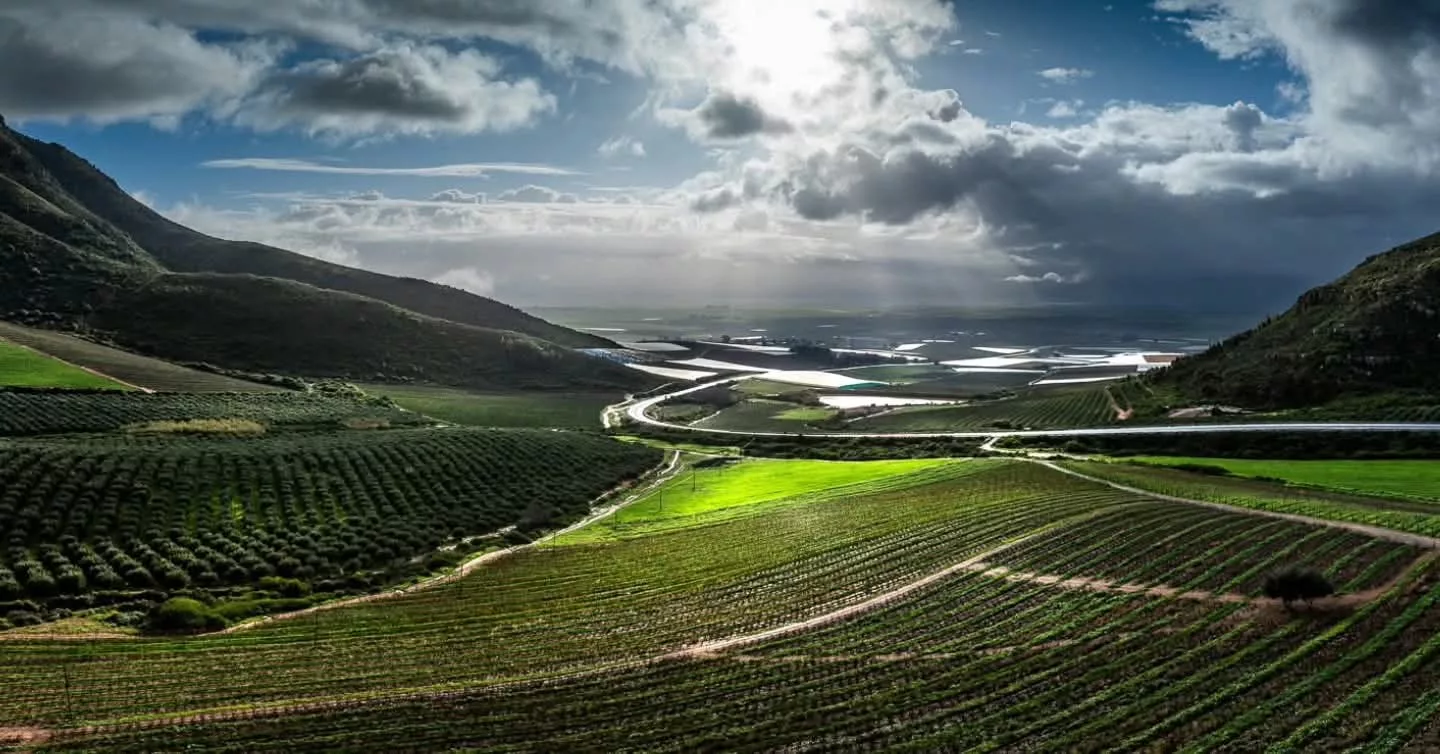 Smallholder farms in the Riebeek Valley