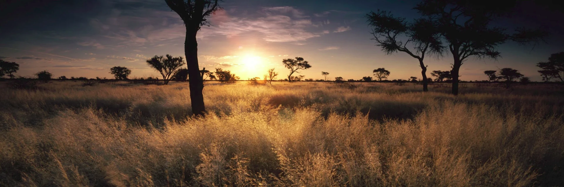 Black-maned country, Kalahari